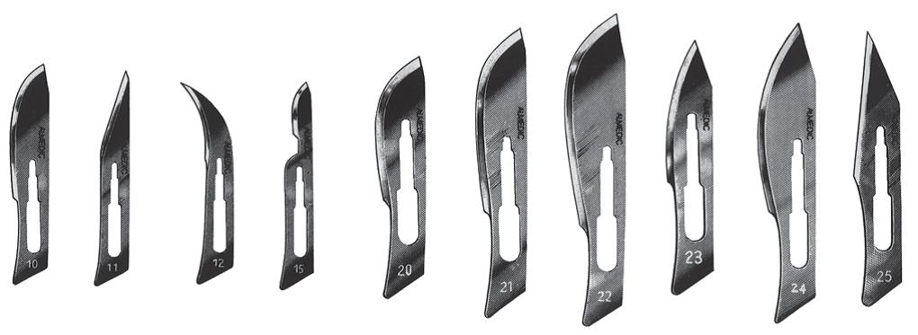 Image LAME DE BISTOURIS STAINLESS STÉRILE NO,10